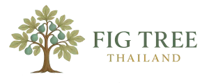 Fig Tree Thailand company logo